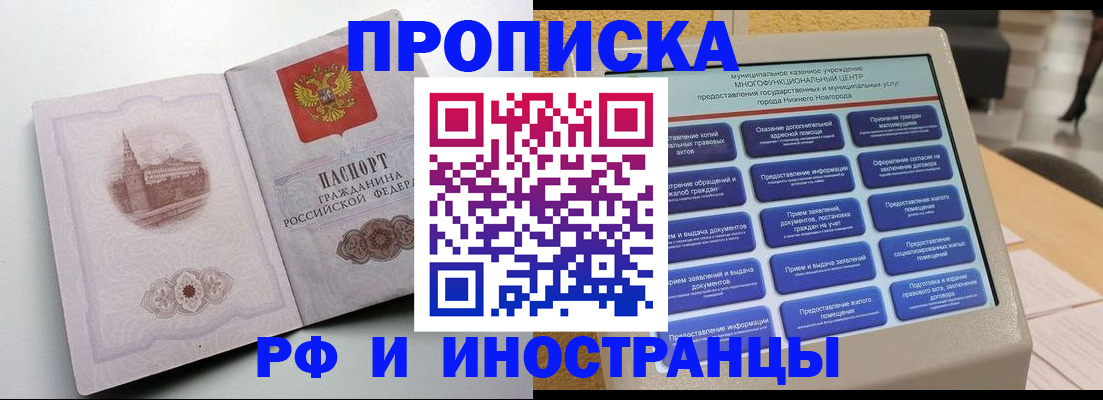 прописка поиск в Павловске